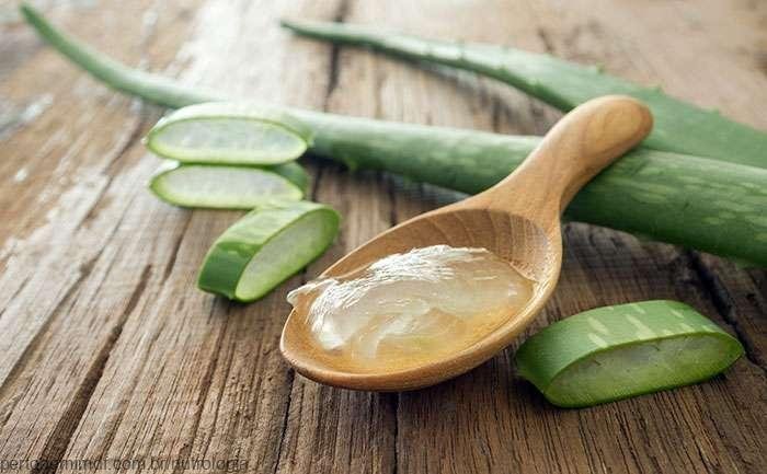 Fitoterapicos