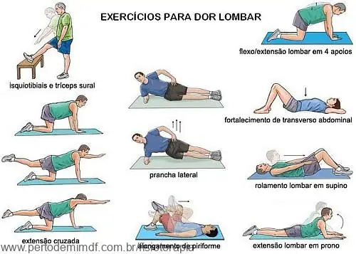 Exerc Dorlombar