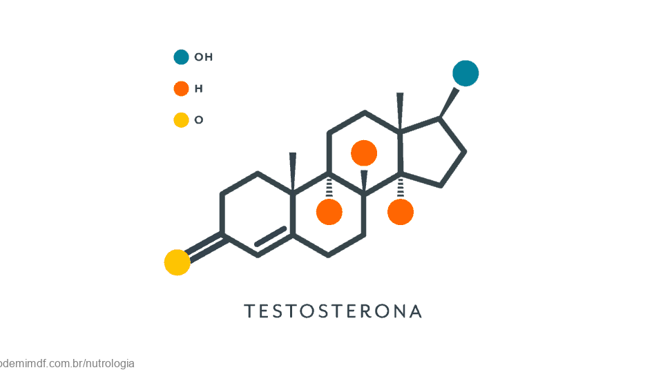 Testosterona 960x536 1