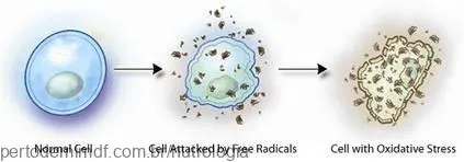 O Que Comemos Pode Aumentar Reacao Inflamatoria Articulacoes 1
