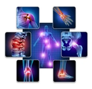 Articulacoes Do Corpo Humano
